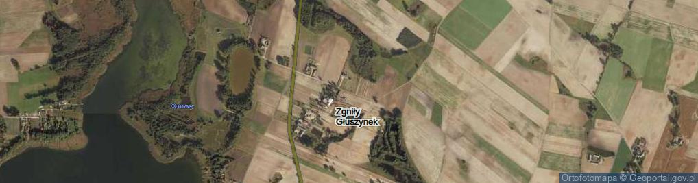 Zdjęcie satelitarne Zgniły Głuszynek ul.
